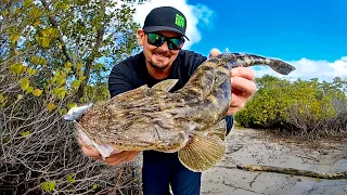 GOLD COAST FISHING | Land Based.