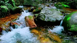 Soothing River Sounds for Stress Relief