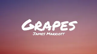 Grapes ▪︎ James Marriott
