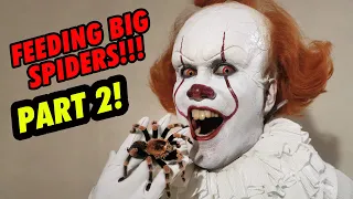 Pennywise feeds HUGE Spiders (PART 2) + NEW CREEPY CRAWLIES! | Prince De Guzman Transformations