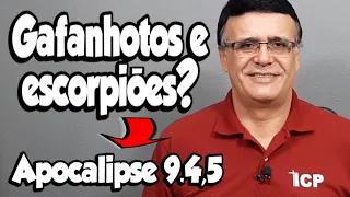 Apocalipse 9.4,5 - Quem são os gafanhotos do livro de Apocalipse.