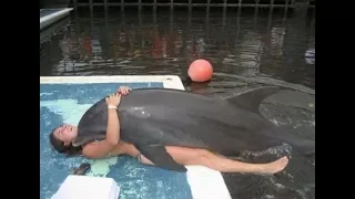 AMAZING DOLPHINS - FUNNY DOLPHINS COMPILATION