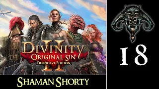 Divinity - Original Sin II #18 : Shaman Shorty