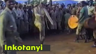 ❤️Inkotanyi zibyina zishimye mu ishyamba