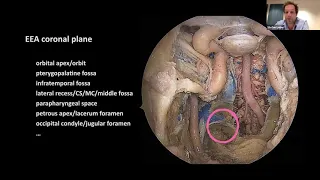 THE EANS WEBINAR: THE ENDOSCOPIC TRANSNASAL APPROACH