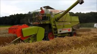 Weizen Dreschen 2014 mit Claas Dominator 48 und International 956 XL