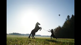 Was kostet ein eigenes Pferd / Welches Pferd passt zu mir / Wiesmanngut