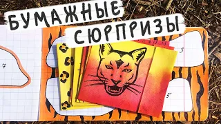 Бумажные сюрпризы / Дикие кошки / Распаковка в лесу