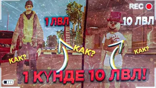 😲 1 КҮНДЕ ҚАЛАЙ 10 УРОВЕНЬ БОЛАДЫ?! ТОП СПОСОБТАР! (Black Russia)