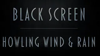 Howling Wind & Rain Sounds | Pure Black Screen For Uninterrupted Sleep | Fall asleep fast | 8Hrs