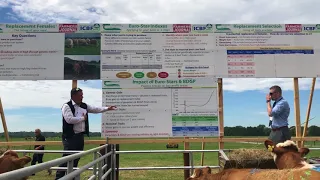 Beef 2018 Live Demo - ICBF, Irish Farmers Journal & Bord Bia