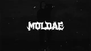 Moldae - FREEKY