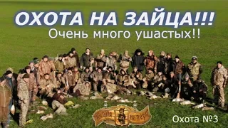 Охота на зайца!!!Коллективная охота!!!Очень много зайца!!!