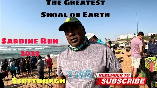 OFFROAD4LIFE, The Greatest Shoal on Earth. Sardine Run 2023, Scottburgh, KZN, South Africa