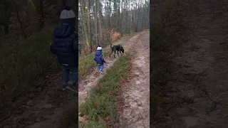 dog and kid best friends forever - hund und Kind beste Freunde für immer