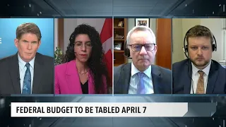 MPs share their expectations for the upcoming federal budget