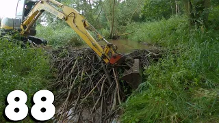 Beaver Dam Removal With Excavator No.88