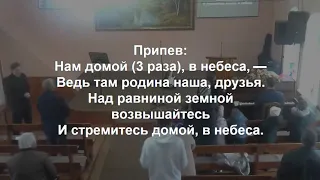 Птички Божьи, домой собирайтесь | караоке