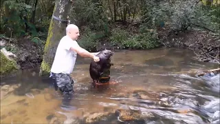 When Beaver Trapping Goes Wrong #beavertrapping