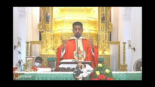 LOVE PROVIDES BEST PRE MARRIAGE COUNSELLING :FR. BOLMAX PEREIRA