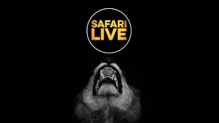 safariLIVE - Sunset Safari - Jan. 28 2018