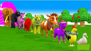 all animals kids cartoon duck animals lion elephant gorilla cow trige