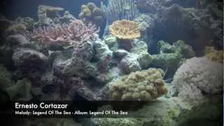 Legend Of The Sea - Ernesto Cortazar (Relaxing Piano Music)