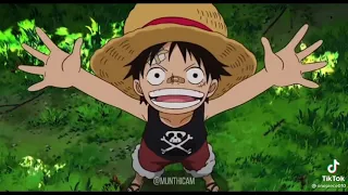 Tik Tok one piece | tổng hợp những cảnh cool ngầu, hài hước của những nhân vật trong băng mũ rơm