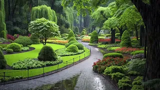 Nature Rain | Beautiful Park in Rainy day | Relax and Sleep