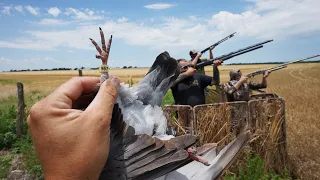 Pigeon Hunting Got Western and We Shot A Special Band!!
