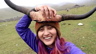 Offbeat Sikkim | LASHAR VALLEY trek Vlog |Paradise in Sikkim