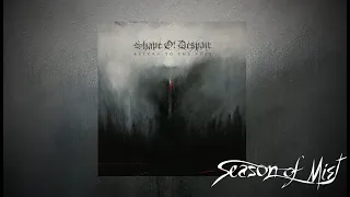 SHAPE OF DESPAIR  - "Reflection in Slow Time" (2021) Visualizer