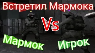 ВСТРЕТИЛ В КС ГО МАРМОКА!!! | CS GO | СМЕШНЫЕ НАРЕЗКИ В КС ГО