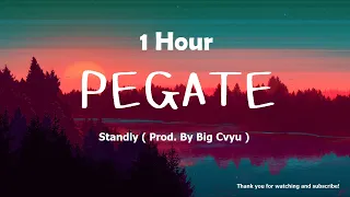 Standly - PEGATE ( Prod. By Big Cvyu ) (1 Hour )