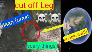 Cut off leg😱😱 in forest?? ||Scary stuff caught on google earth and google map || #Italy