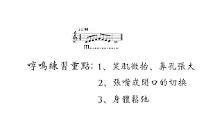 唱歌技巧（練聲曲一）唱歌技巧哼鳴練習：兩種切換方式的（發聲練習）練習方式，哼鳴練習曲是唱歌技巧的入門練聲技巧，也是發聲練習的基礎。（鋼琴伴奏練聲曲） （唱歌） （声乐）（聲樂）