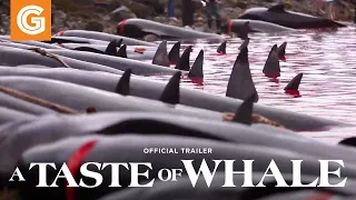 A Taste of Whale | Official Trailer