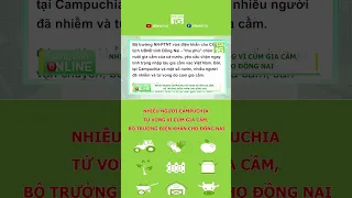 Nhiều người Campuchia tử vong vì cúm gia cầm, Bộ trưởng điện khẩn cho Đồng Nai  #shorts