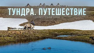 Tundra. The travel. A documentary film