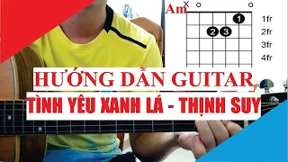 [Hướng dẫn guitar] Tình Yêu Xanh Lá (juju) - Thịnh Suy