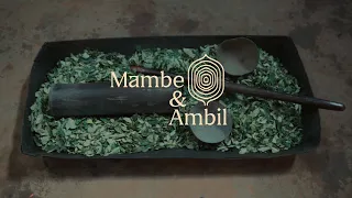 Plantas de poder | Mambe y Ambil