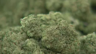 Medical cannabis bill headed to New Mexico governor’s desk