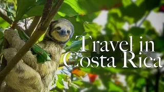 ВСЯ ПРАВДА О КОСТА РИКЕ! TRAVEL IN COSTA RICA.Цены/пляжи/национальные парки/аренда машины/отели #29