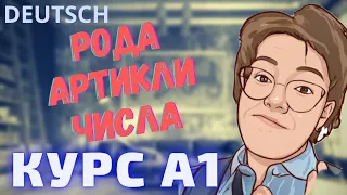 Курс А1. Урок 3. РОДа, ЧИСЛа, АРТИКЛи в Немецком