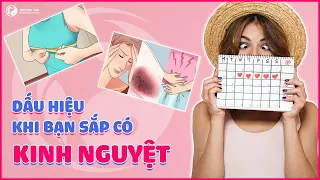 TOP 5 DẤU HIỆU SẮP ĐẾN NGÀY "ĐÈN ĐỎ" CỦA CHỊ EM | TÂM MỘC VIÊN