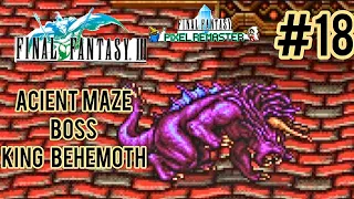 FINAL FANTASY III Pixel Remasterd/Steam Part:18 Ancient Maze Boss King Behemoth