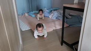 잠에서 깬 쌍둥이 남매의 귀여운 행동들 l 8개월 아기