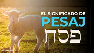 Significado de PESAJ (Pascua)| ¿Cómo celebrar PESAJ? | Fiestas de ELOHIM