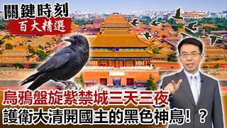 烏鴉盤旋紫禁城三天三夜 護衛大清開國主的黑色神鳥！？【關鍵時刻百大精選】-劉寶傑 劉燦榮 馬西屏