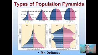 Types of Population Pyramids